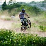 LIGHT BEE X - Image 4